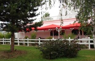  Toile de parasol